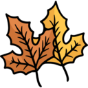 nature,plant,botanical,leaf,garden,maple leaf